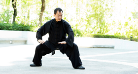 Wellness Tai Chi and Qigong